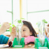 Spielerische Experimente im Kindergarten