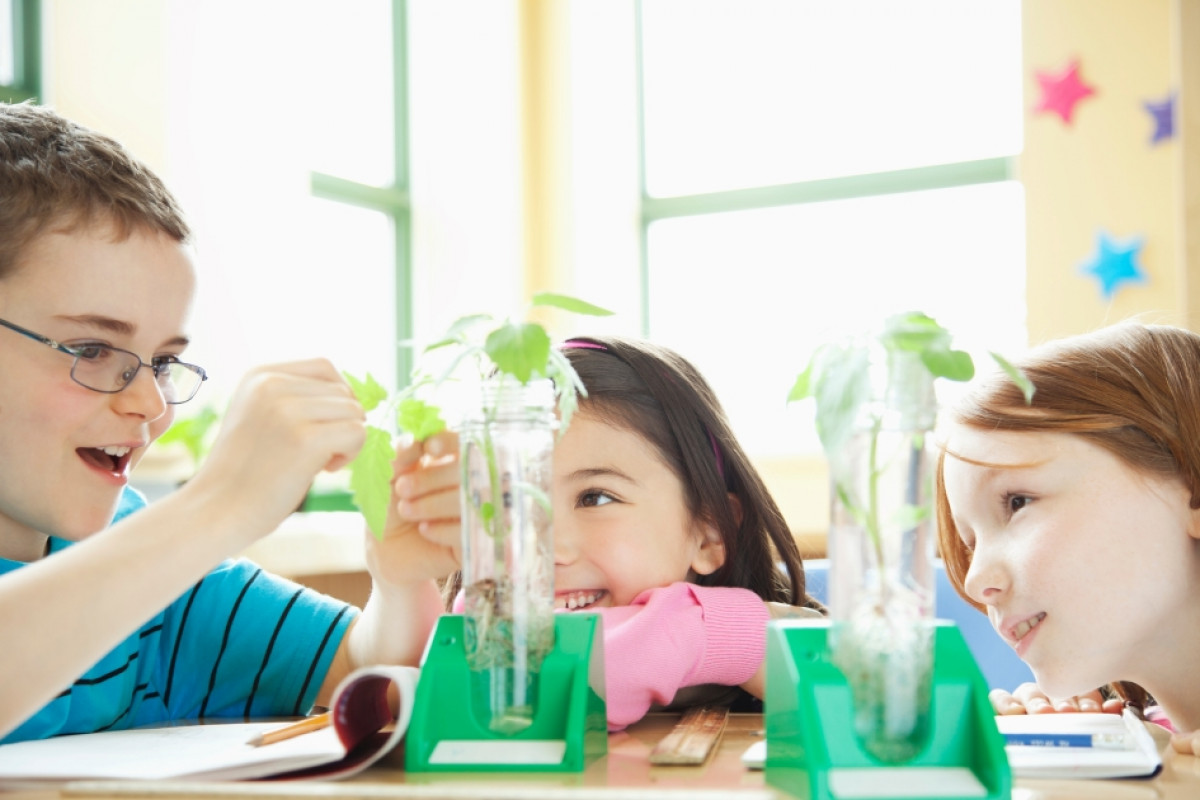 Spielerische Experimente im Kindergarten