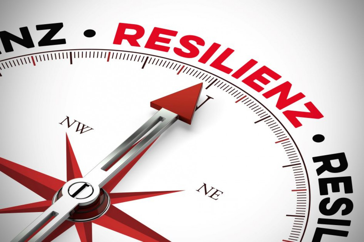 Das Geheimnis innerer Stärke - Kraftquelle Resilienz