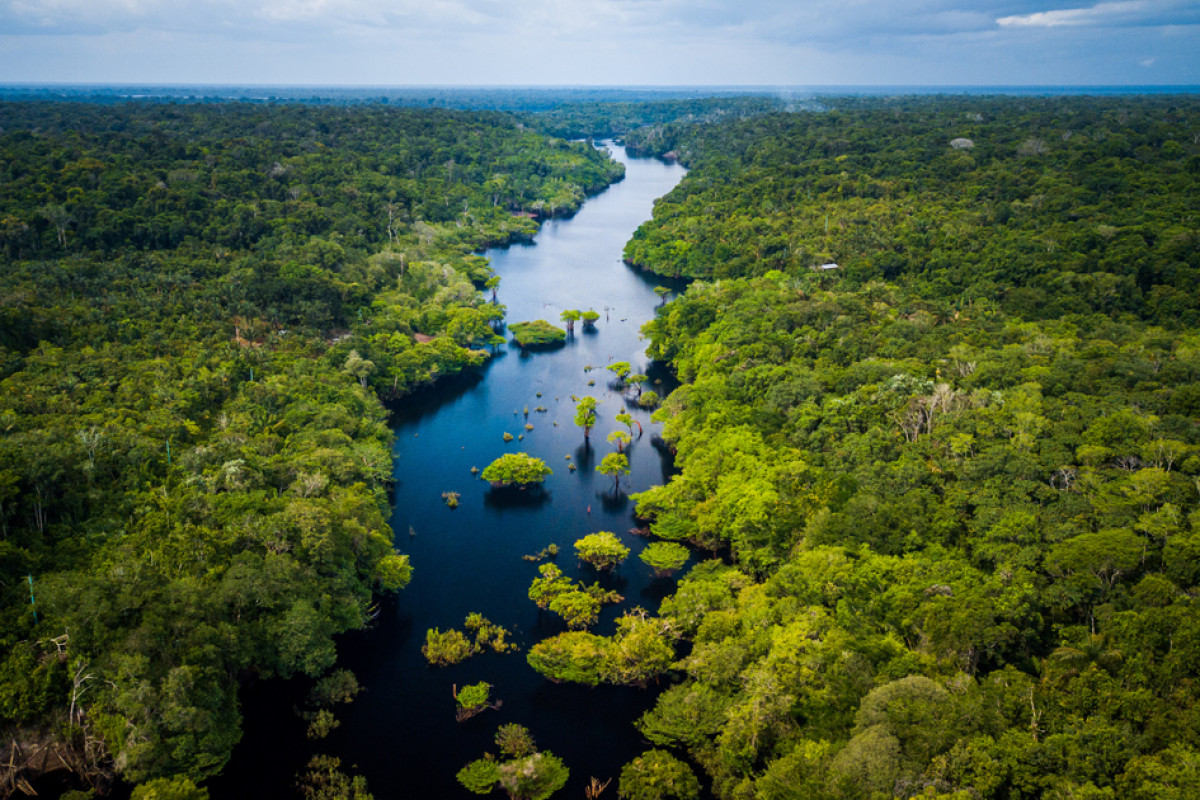 überLEBEN am Amazonas (digital über Zoom)