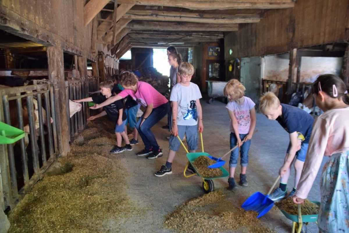 Kinder erleben den Bauernhof mit allen Sinnen
