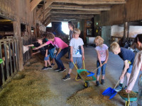 Kinder erleben den Bauernhof mit allen Sinnen