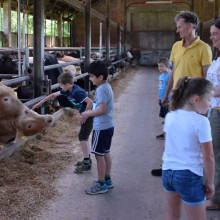 Kinder erleben den Bauernhof mit allen Sinnen