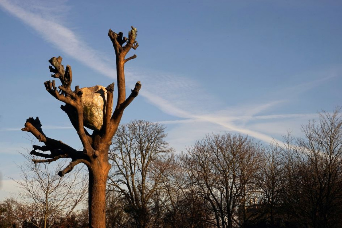 Der Baum in der Kunst