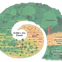 Neuanlage eines Sukzessions- und Sinnesgarten