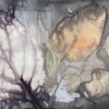 Ecodyeing