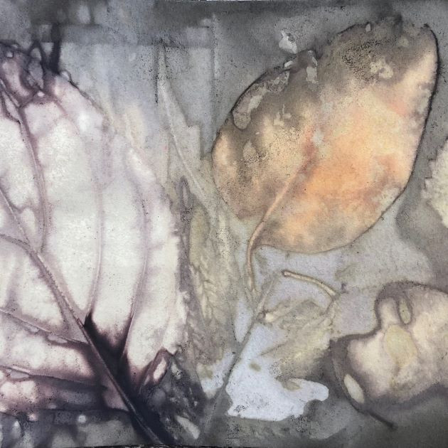 Ecodyeing