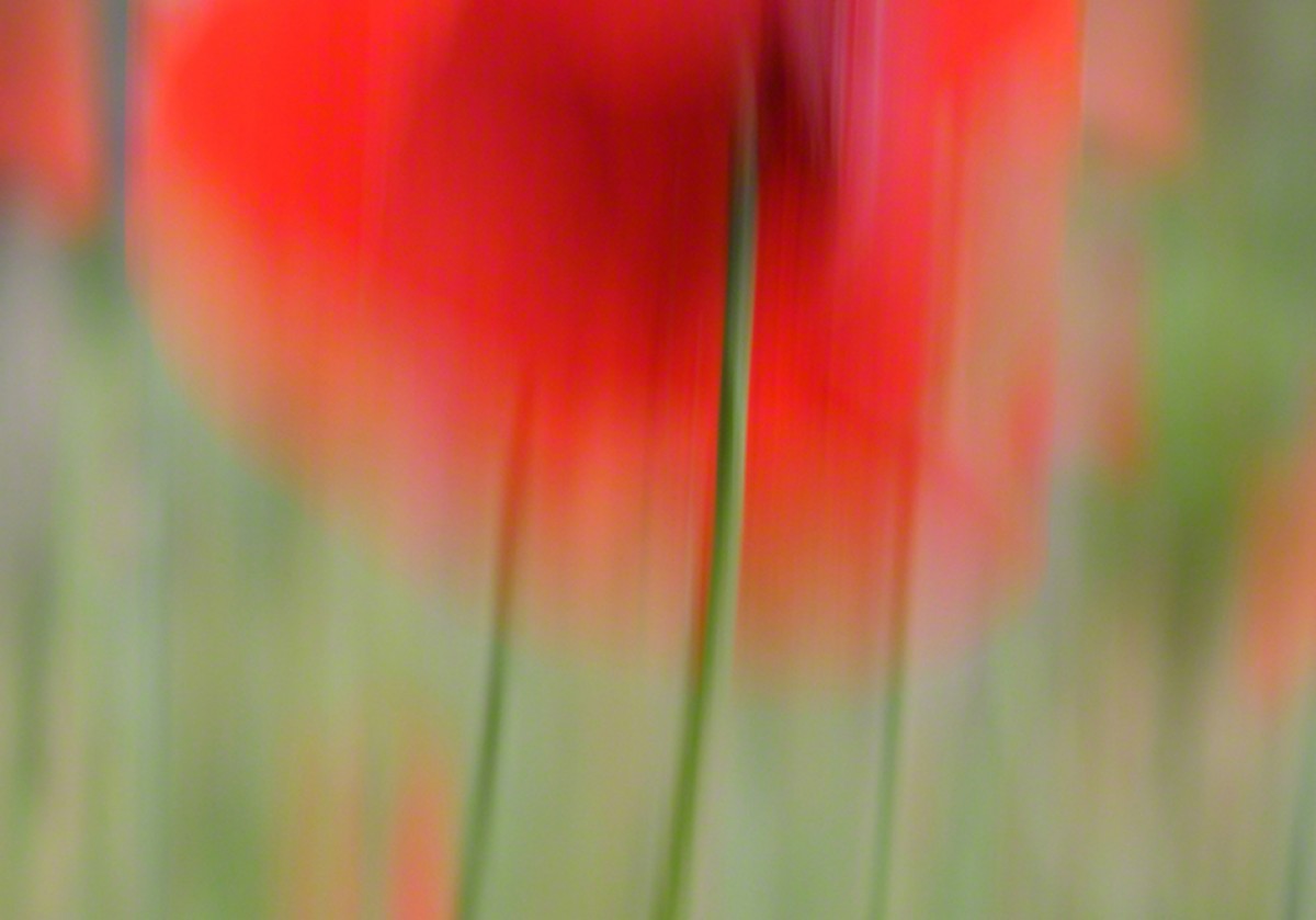 Malerische Fotografie