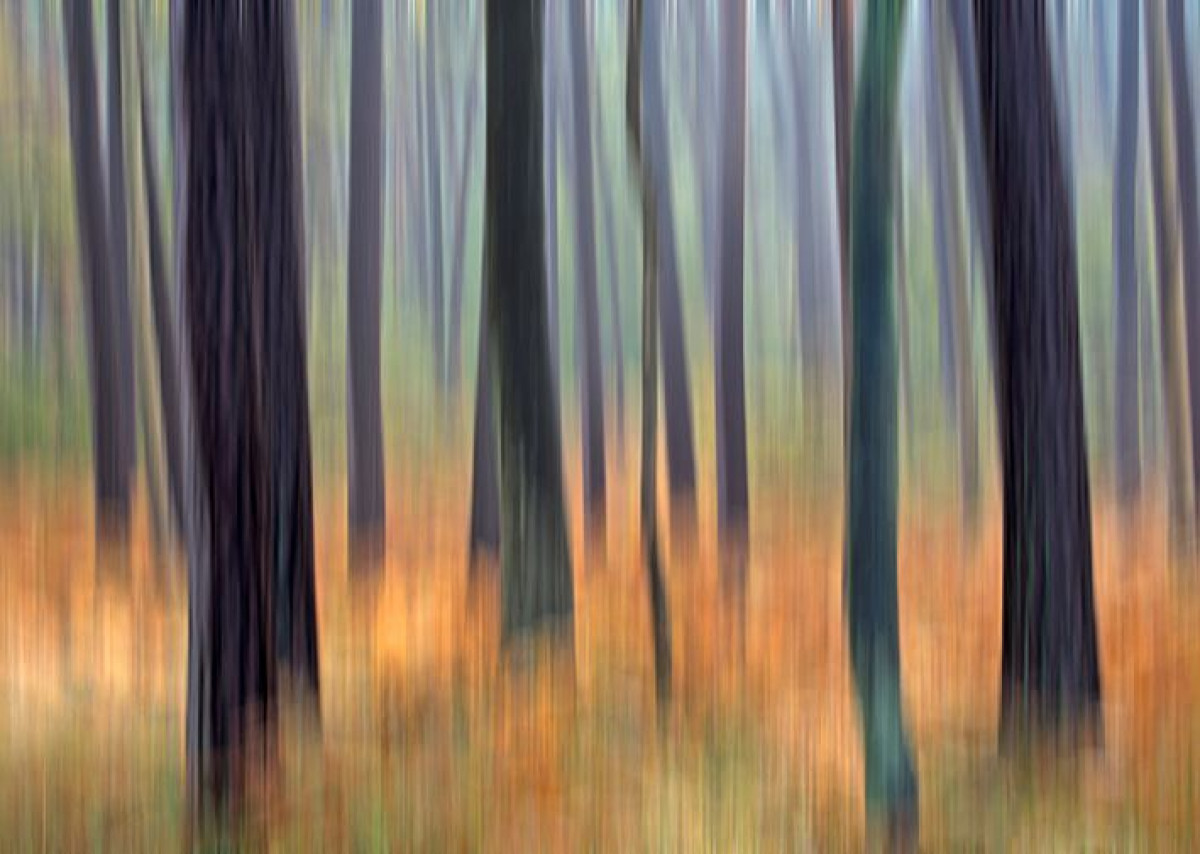 Malerischer Herbst