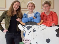 Bewerbung für ein Freiwilliges Ökologisches Jahr im Umweltzentrum in Stapelfeld 