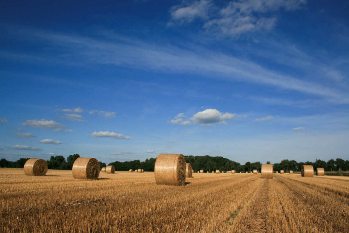 Tag der Landwirtschaft