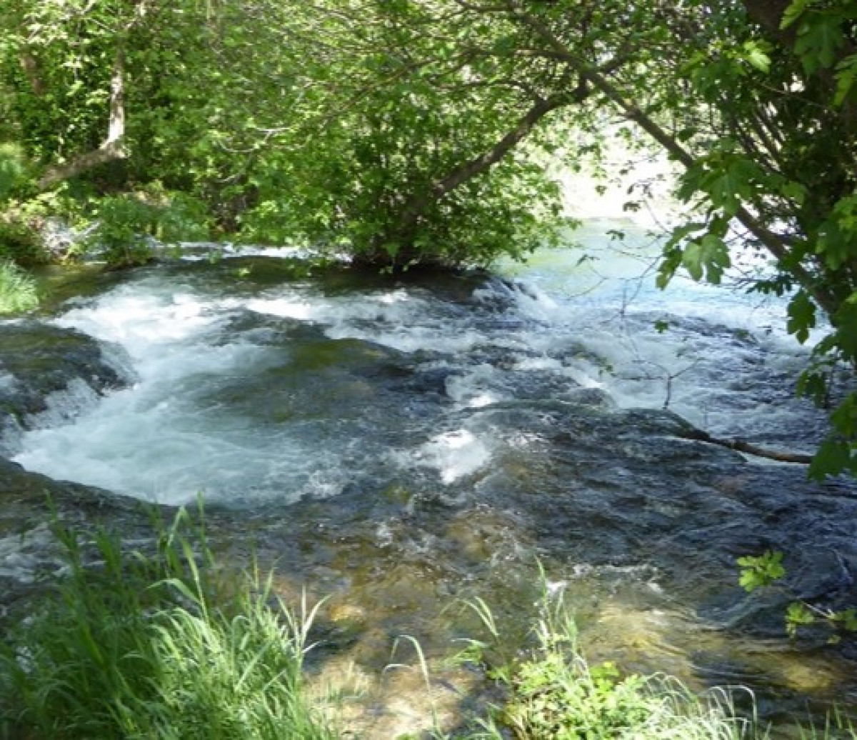 An der Quelle