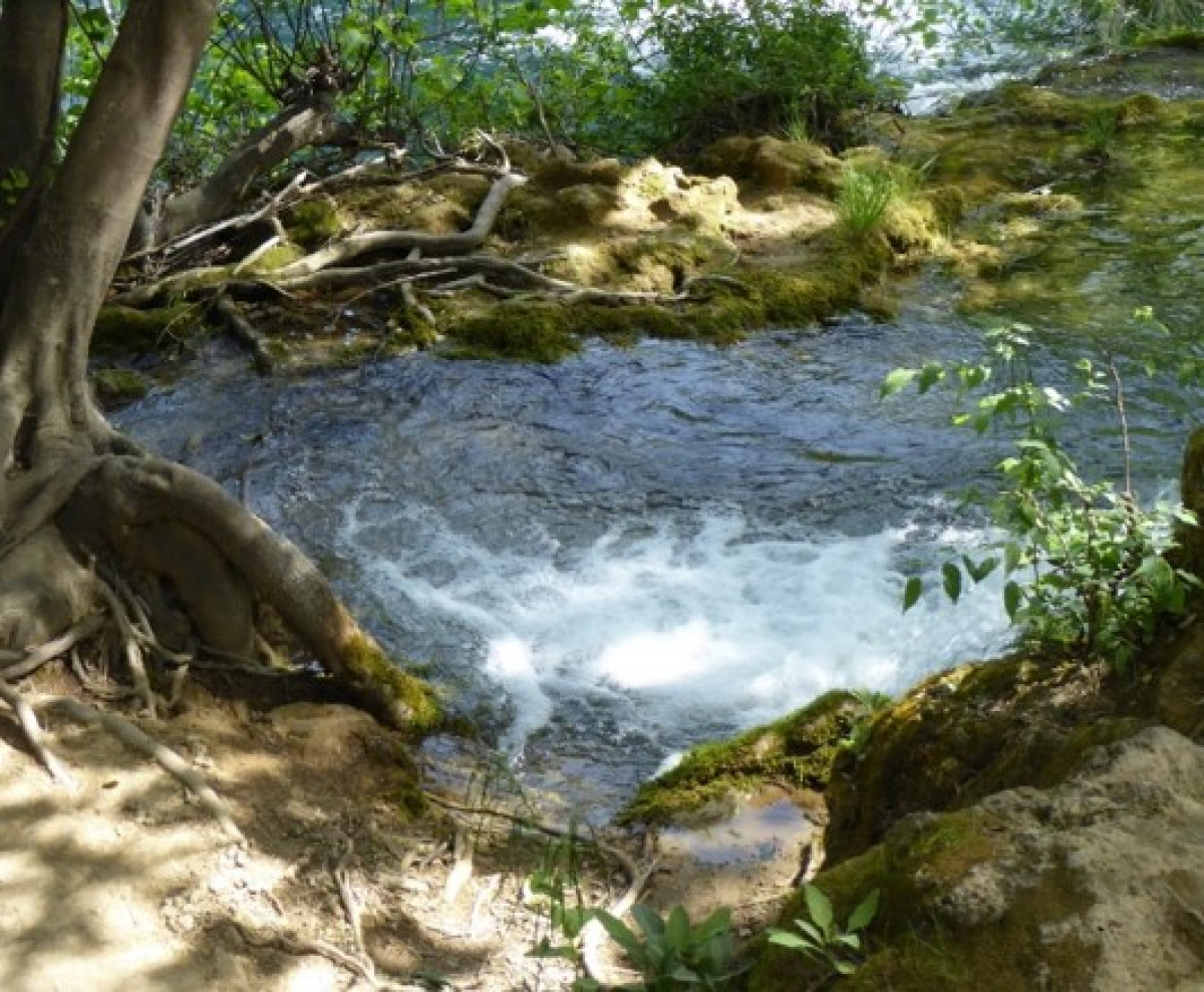 An der Quelle