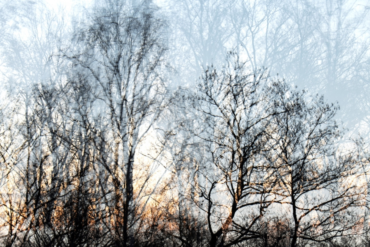 Geheimnisse in weichem Licht