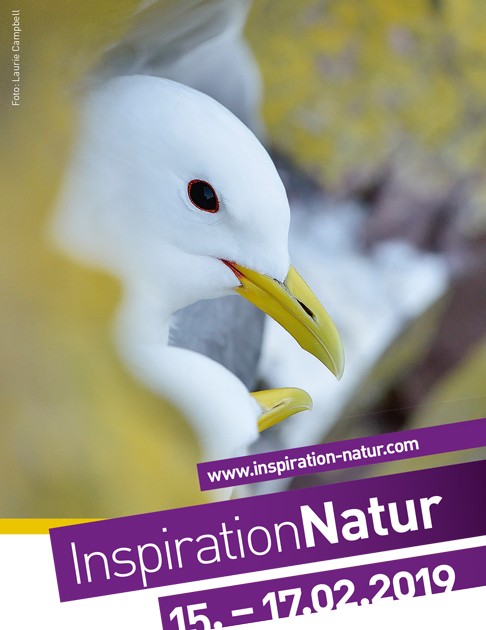 Inspiration Natur