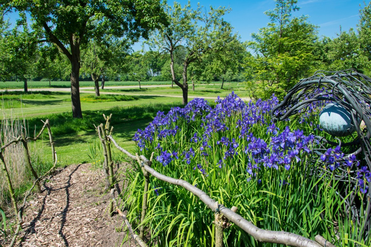 Garten im Klimawandel