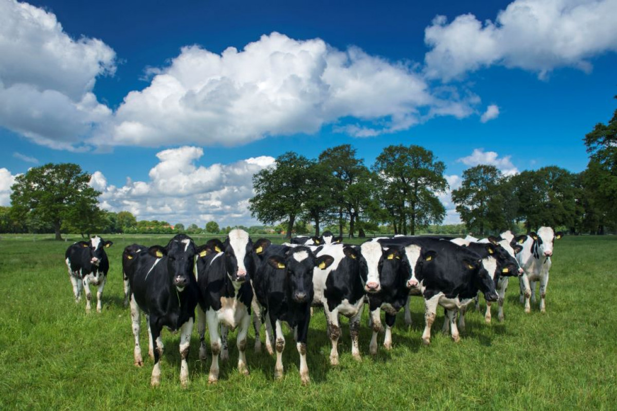 Landwirtschaft hautnah und NEU erleben