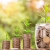 Selbstbewusst & nachhaltig investieren