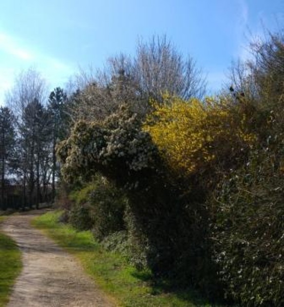 Lebens-Wege