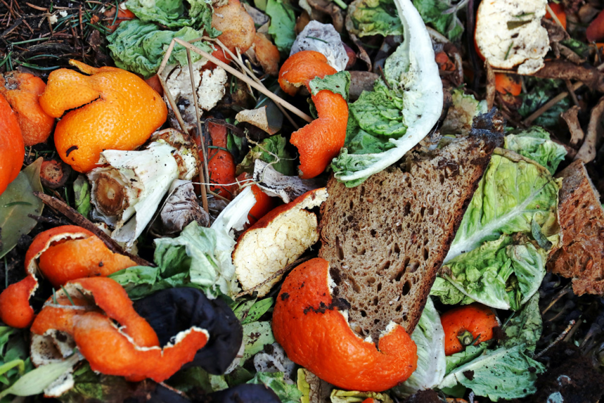 Containern: ÜberLebensmittel aus dem Müll