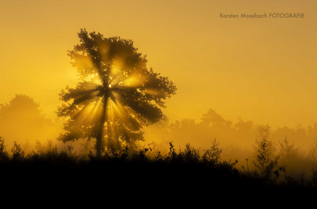 Herbstleuchten