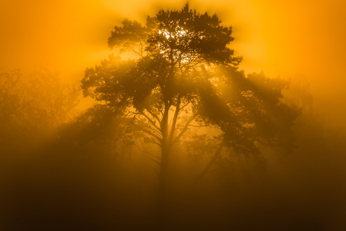 Farben – Fotos - Frühsommer