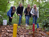 Mit Geduld den „schiefen Turm von Stapelfeld“ errichten 