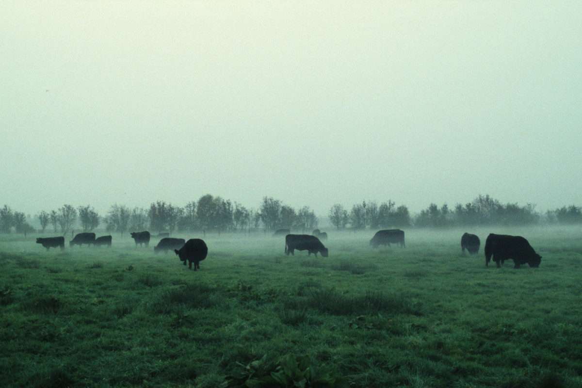 Tag der Landwirtschaft 2025