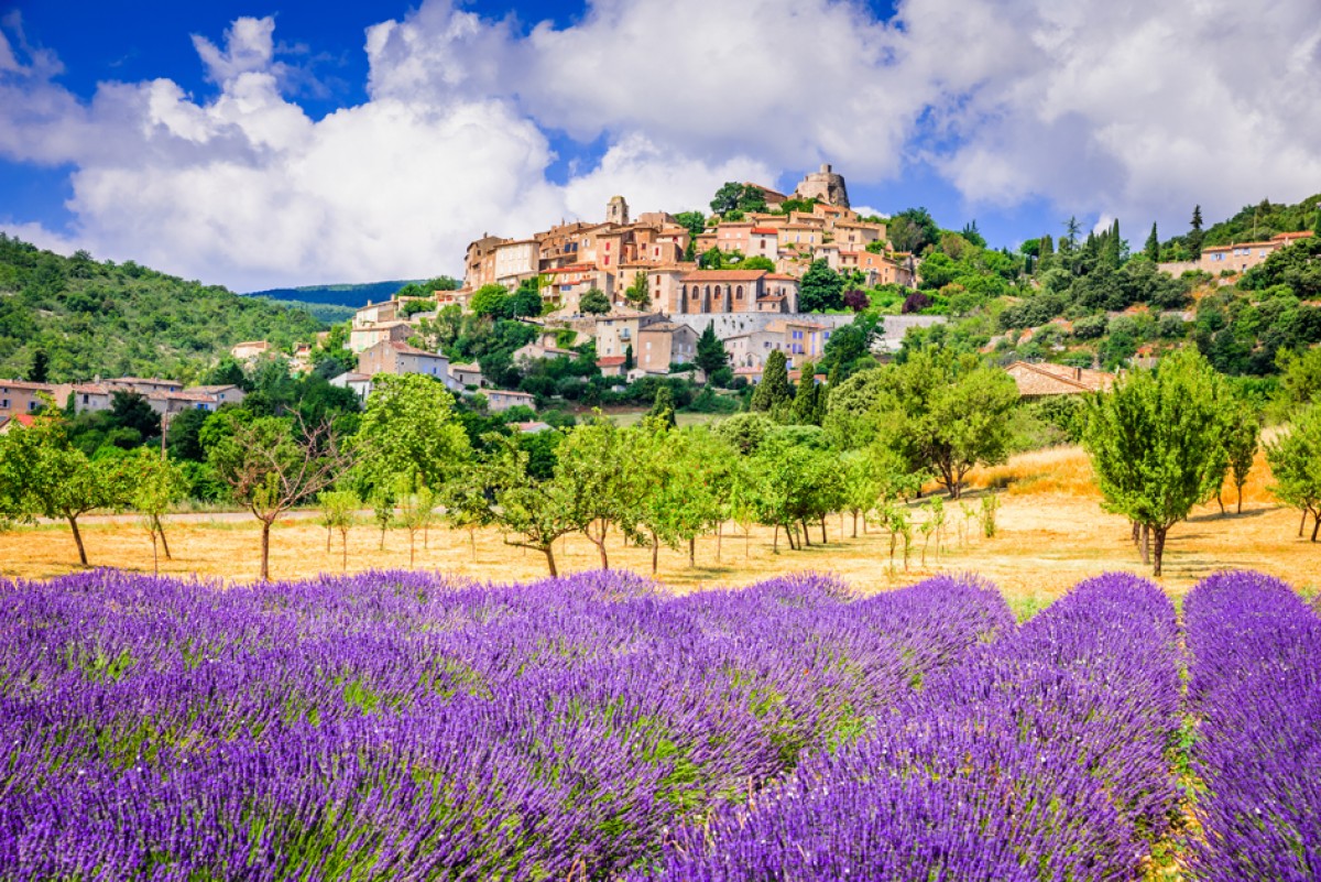 Die Provence – Land des Lichts, der Düfte und der Farben