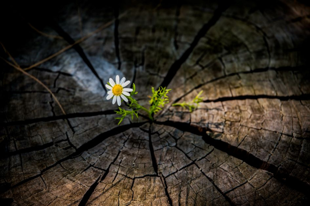 Resilienztraining für Frauen
