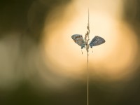 Naturfotografieseminar: Das Markus-Projekt - eine multikünstlerische Begegnung 