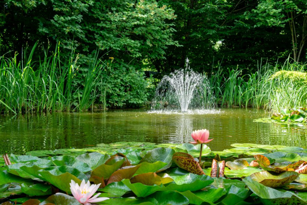 Sommer-Oase