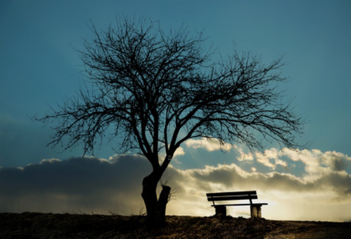 Auf dem Weg ins andere Leben – Meditative Texte, Erzählungen und Gedichte in der Begleitung
