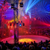 Wunnerwelt Zirkus