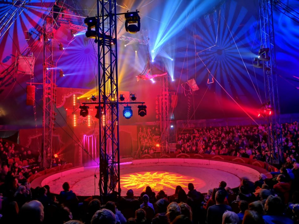 Wunnerwelt Zirkus