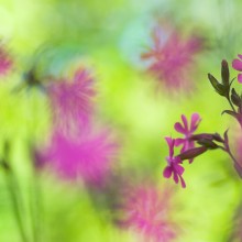 Ausstellung „Small surprising“ -