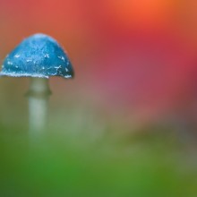 Ausstellung „Small surprising“ -