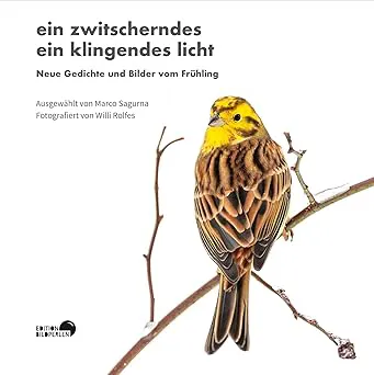 Cover des Werkes „ein zwitscherndes ein klingendes licht“