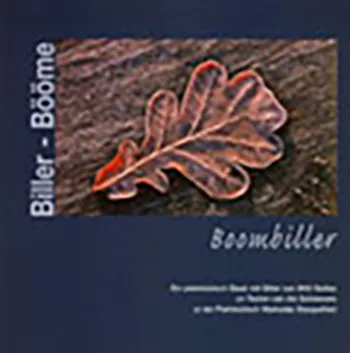 Cover des Werkes „Biller - Bööme - Boombiller“