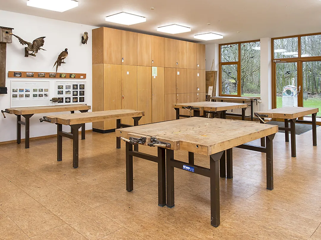 Mehrere leere Werktische stehen in einem Werkraum, an dessen einer Wand ein großer Schrank steht. An der Wand hängen ausgestopfte Vögel.